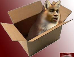 eduardo_foxinbox